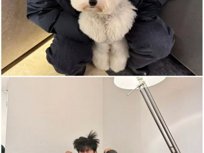 임영웅