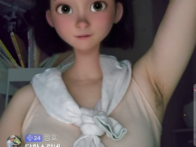 한국미시