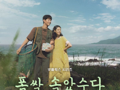 아이브 폭삭 속았수다