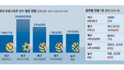 프로야구 KBO리그의 인기에도 불구하고 배구보다 낮은 선수 평균 연봉, 그 원인은