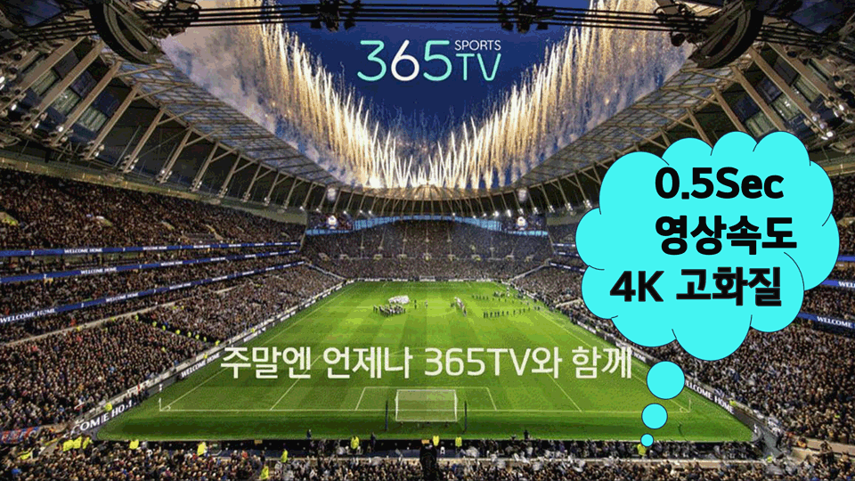 365티비